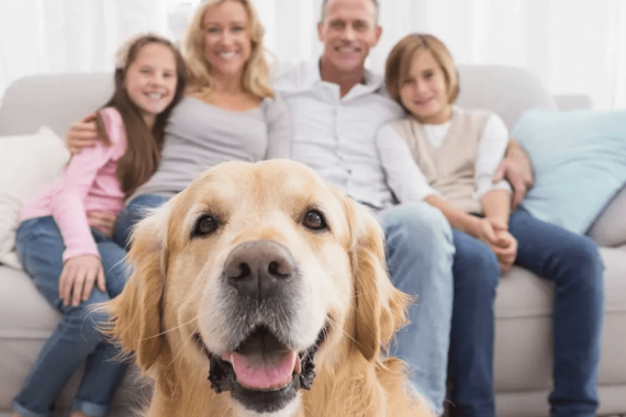 https://gaselectric.gr/wp-content/uploads/2016/11/family-gaselectricgr1-570x380.png